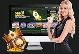 8bbd